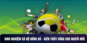 Kinh Nghiệm Thực Chiến Khi Cá Cược Bóng Đá Fun88 Từ Dân Cá Độ Lâu Năm